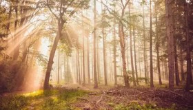 LPL久久公益节BLG公益冠名关注青少年心理健康，IG电竞助学基金传递电竞公益正能量